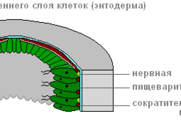 Кракен интернет площадка