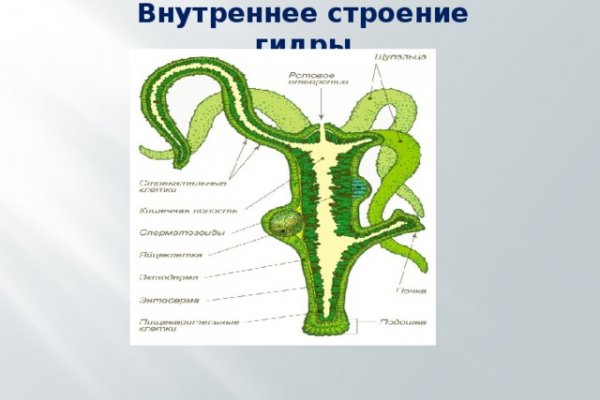 Аналог hydra